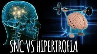 Fuerza: SNC vs Hipertrofia, entrenamiento muscular y sistema nervioso