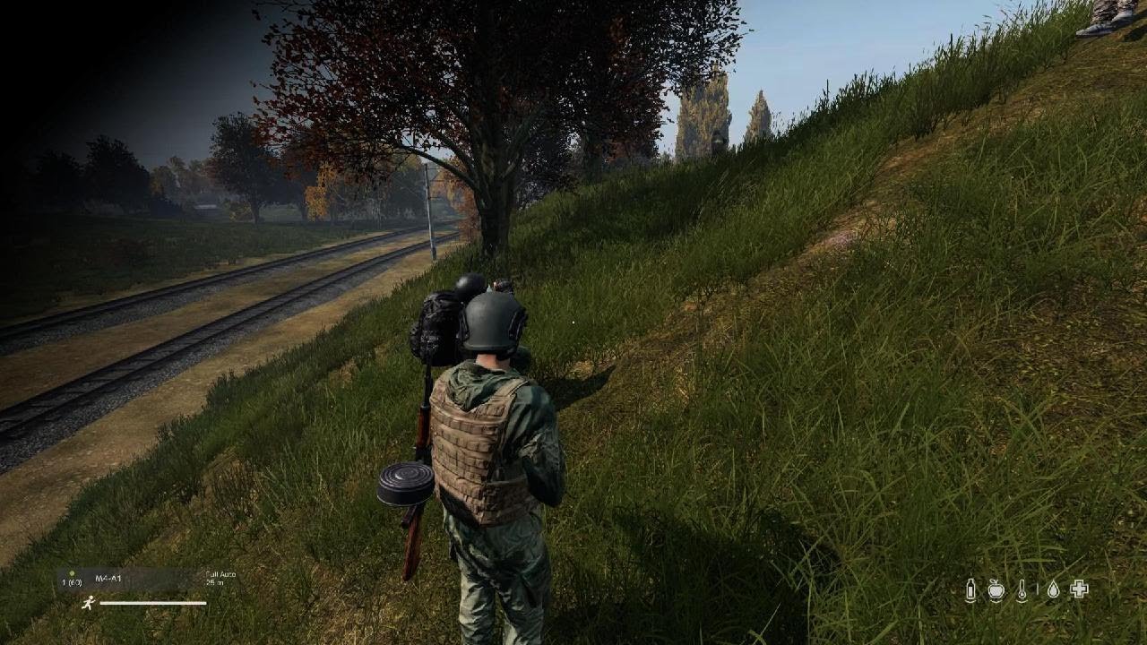 Dayz gun