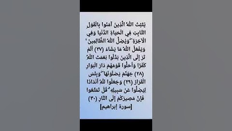 تلاوة جميلة من الشيخ ماجد العويري