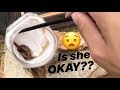 Unboxing a DEADLY SCORPION ~ Is she Okay??