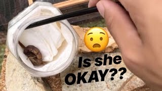 Unboxing a DEADLY SCORPION ~ Is she Okay??