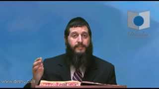 הדף היומי - מסכת שקלים דף י"ג