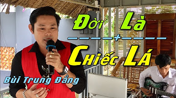 ĐỜI LÀ CHIẾC LÁ | Bùi Trung Đẳng Hát Họp Mặt Nhà Anh Tuấn Nám