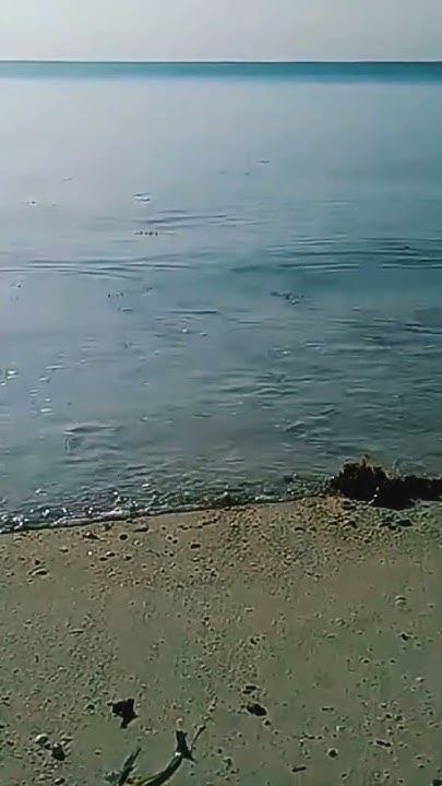 Tsunami waves speed