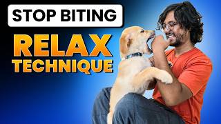How to Stop Puppy Biting With Relax Technique: Can You Stop Puppy Biting?