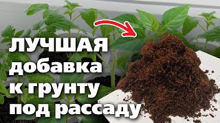 КАК ПРИГОТОВИТЬ КОКОСОВЫЙ СУБСТРАТ ДЛЯ РАССАДЫ. С ним рассаде намного лучше