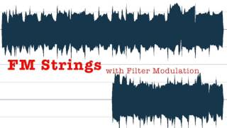 FM String with Filter Modulation Net Worth