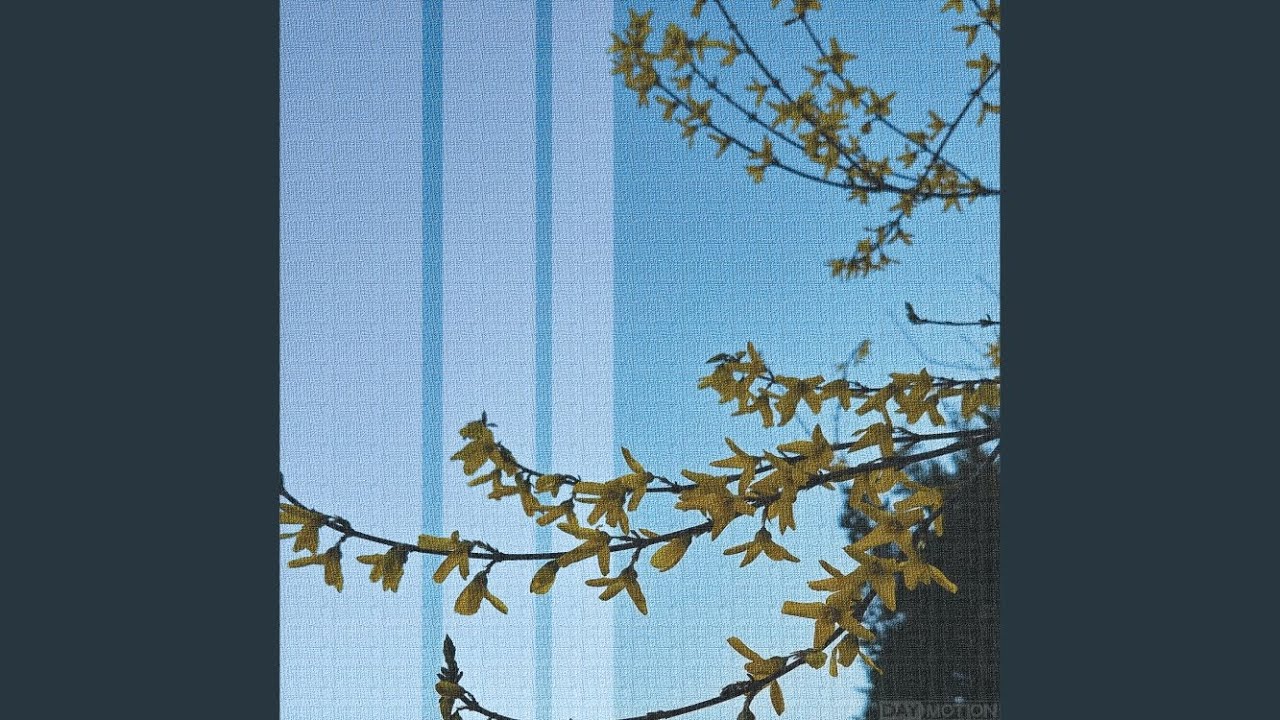 Watch An Empty Place (주차금지) on YouTube Watch An Empty Place (주차금지) on YouTube