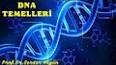 Moleküler Biyolojide DNA Onarımı ile ilgili video