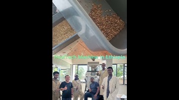 Ethiopia Coffee Bean Color  Sorting Sorter Machine