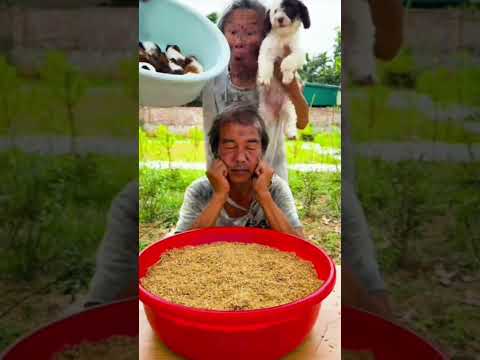 My Little Brother Stole My Baby Mousewhile I Was Sleeping Reversing My Little Brother Stole