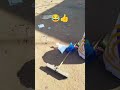 الجعبور منظم تونوات سيدي موسى 