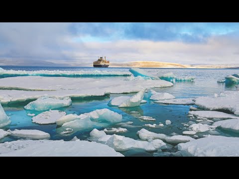 Video: In The Heart Of The Arctic