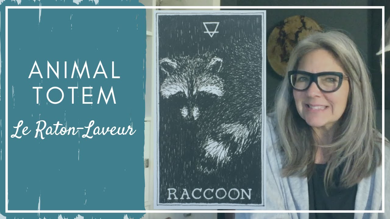 Animal TOTEM - Le raton Laveur - CHAMANE URBAINE - YouTube