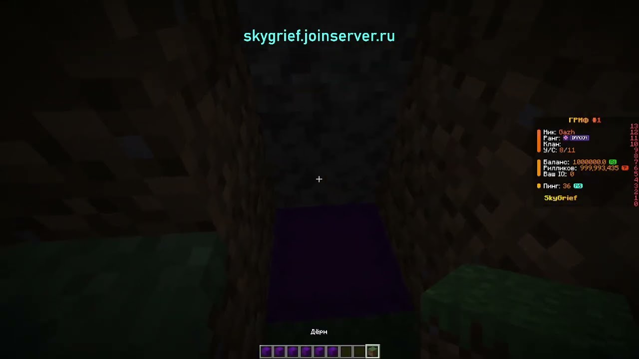 ip-skygrief.joinserver.ru