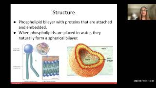 Bio100: Ch.3_Cell Structure & Function