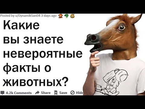 КАКИЕ ВЫ ЗНАЕТЕ УДИВИТЕЛЬНЫЕ ФАКТЫ О ЖИВОТНЫХ?| АПВОУТ