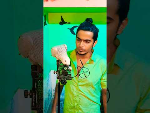 #entertainment #foodlover #comedy #views_viral_video_subscribers_grow #subscribetomychannel #shots