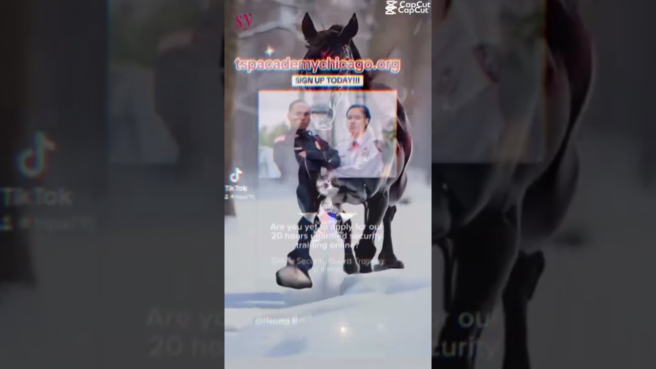 Online Security Guard Training In Illinois