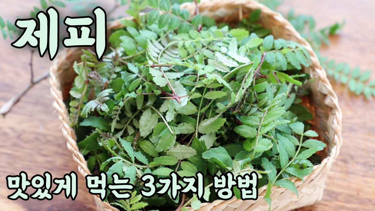 알싸함이 매력이 군침 도는 제피잎 맛있게 먹는 3가지 방법 - YouTube