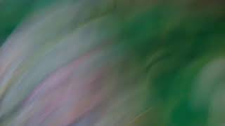 コロコロコミック応募当たりました！！！