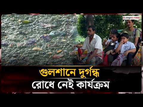 গুলশান লেকের দুর্গন্ধে অসুস্থ মানুষ, বাড়ছে ডেঙ্গুর শঙ্কা! | Gulshan Lake | Lake Pollution | JagoNews