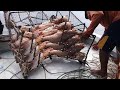 Amazing Unique Trap Catching Fish Skills - Fishermen Catch a Lot of Fish on the Boat