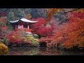 Exquisite Places Around The World To See Brilliant Fall Colors This Year HD 2015 HD