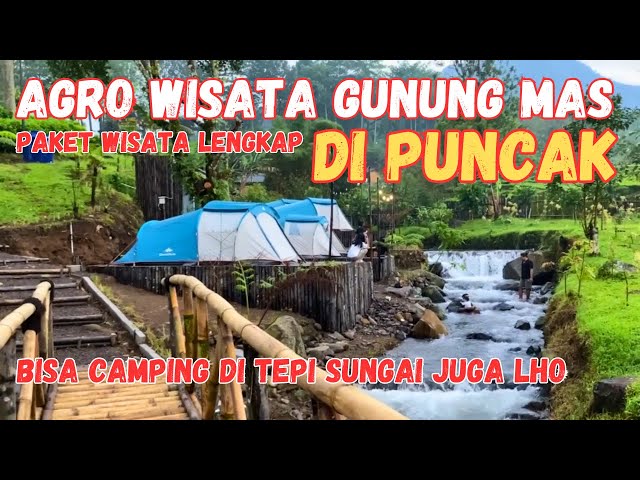Review Agro Wisata Gunung Mas | Spot Camping u0026 Glamping  Dengan Pemandangan Terindah di Puncak Bogor class=
