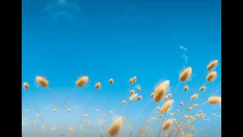 سكينةٌ وطمأنينة...سورة الشمس...تألق القارئ محمد الكردي