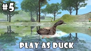 Ultimate Bird Simulator (by Gluten Free Games) Android Gameplay Part 5 [HD] screenshot 5