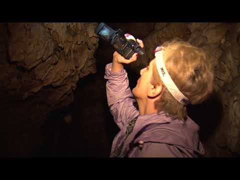 აღმოაჩინე საქართველო - ხვედელიძეების კლდის მღვიმე