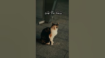 سورة الضحى: طمأنينة القلب اختم يومك🌿#الضحى #القرآن_الكريم #هدوء_القلب #نور_الإيمان #راحة_النفس