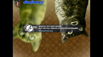 Preview 2 Numa Cat Effects 2 in Upside Down