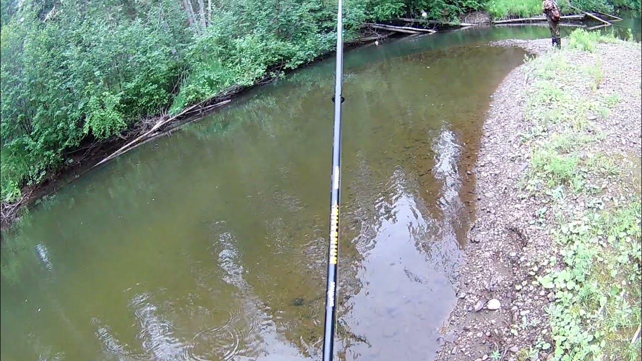 Ленок видео рыбалка на реке. Тайга рыбалка тянут рыбу. Река ленка
