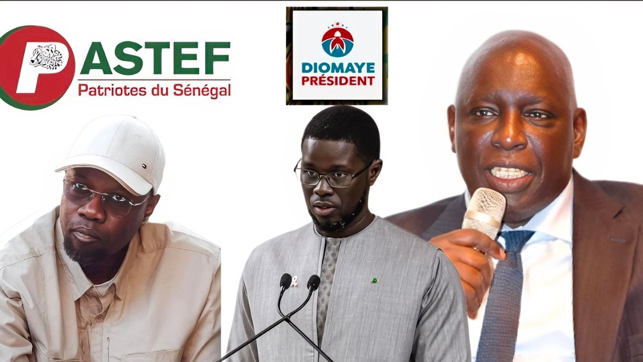 Sonko-Diomaye: Madiambal Diagne met en garde sur les conséquences
