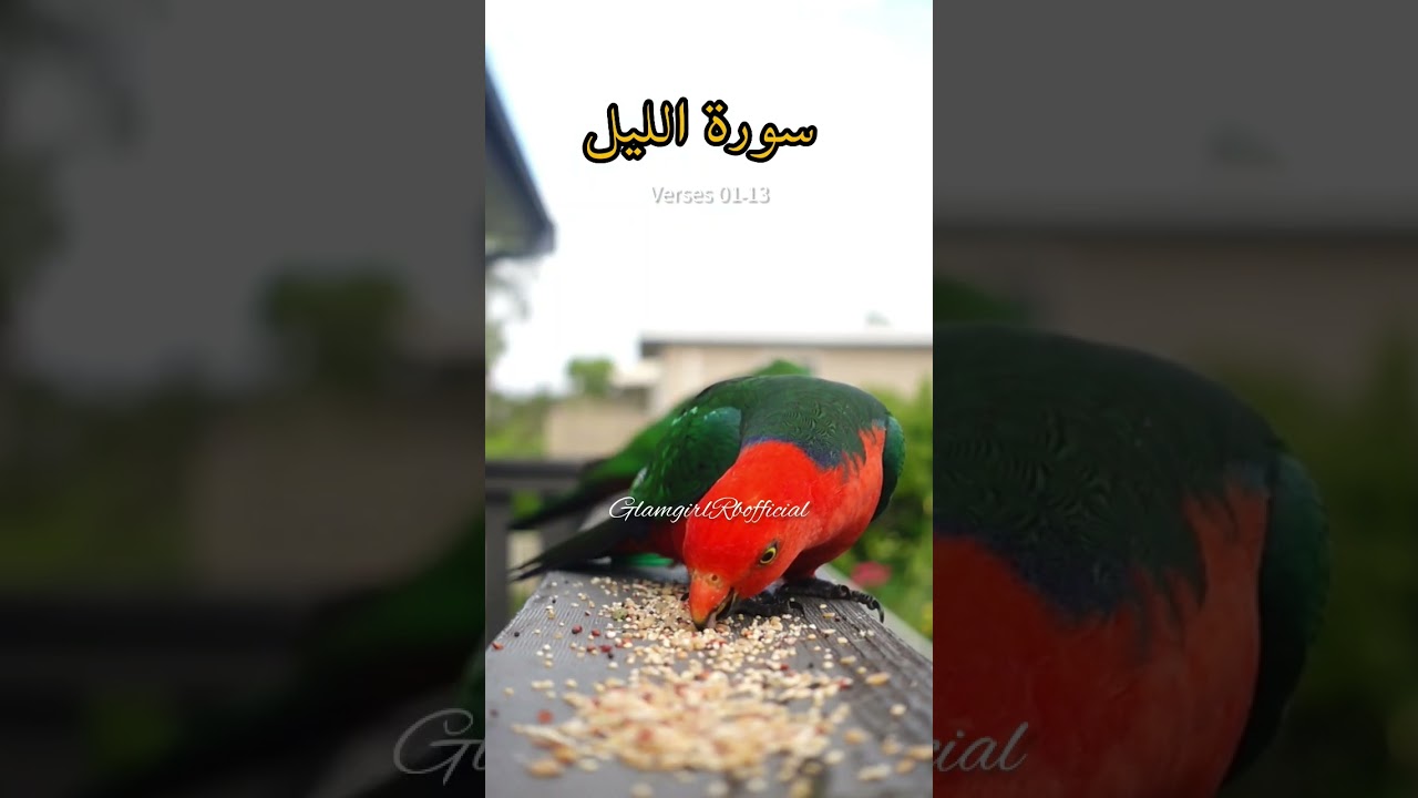 Surah Lail In Urdu Translation #youtubeshorts #fypシ #quran #shortfeed #viral #religion