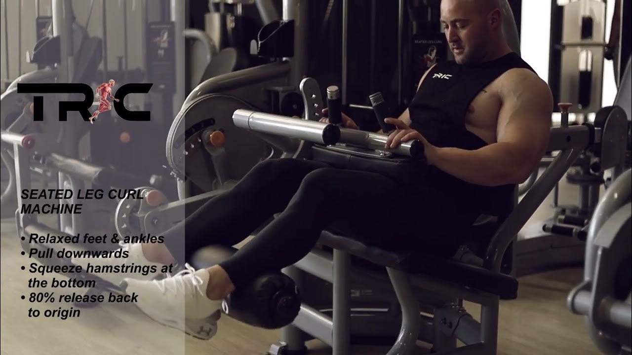 Seated Leg Curls Machine YouTube