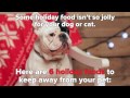 6 Holiday Foods That Can Harm Pets