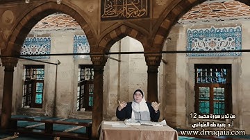 مقطع قصير من تدبر سورة محمد 12