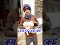 যারা কম বাজেটে সুন্দর বিড়াল নিতে চান তাদের জন্য এই বিড়াল গুলো | Persian cat price | cat market