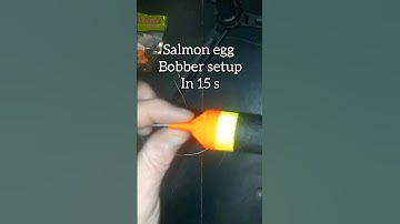 15 SEC Salmon Egg Bobber River Fishing Setup #bobberdown #salmonfishing #riverfishing #troutfishing