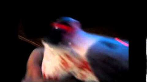 custom painted ps3 controller