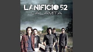 Calamita Calamita