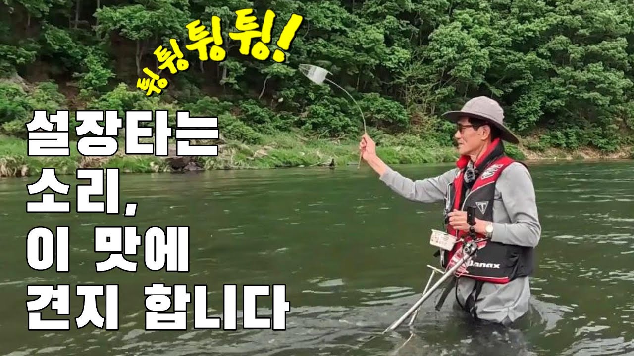 홍천강 보리울여울로 견지낚시 다녀왔습니다. 대물 누치를 만나고, 설장타는 소리도 들었습니다.    4K로 보시면 더 좋습니다.