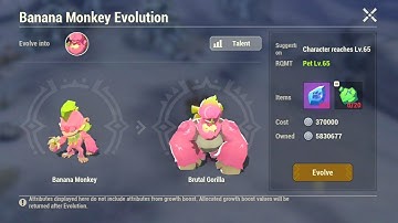 This is how I evolve my pet | Dawn of isles |