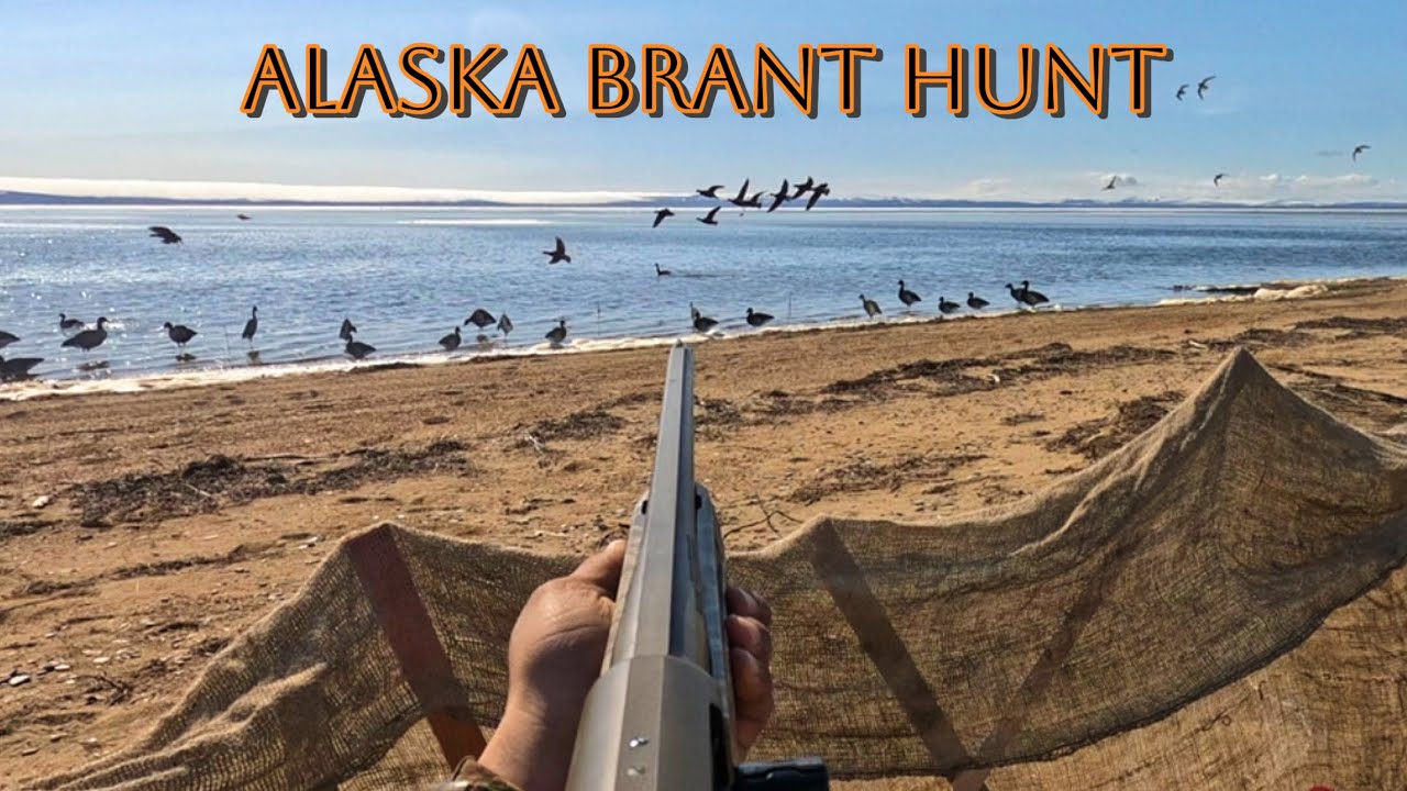 Subsistence Brant Hunt in Golovin Bay, Alaska - YouTube