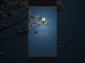 ياايها الذين امنوا اذكروا الله ذكرا كثيرا سورة الأحزاب القارئ ياسر الدوسري ياايها الذين امنوا اذكروا الله ذكرا كثيرا سورة الأحزاب القارئ ياسر الدوسري