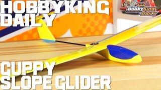 Guppy Balsa Slope Glider - HobbyKing Daily