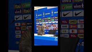 Cat Got Its Karma On Brazil fyp brazil football cat shortsyoutube short